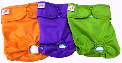 Pañales LAVABLES y REUTILIZABLES - HEMBRA