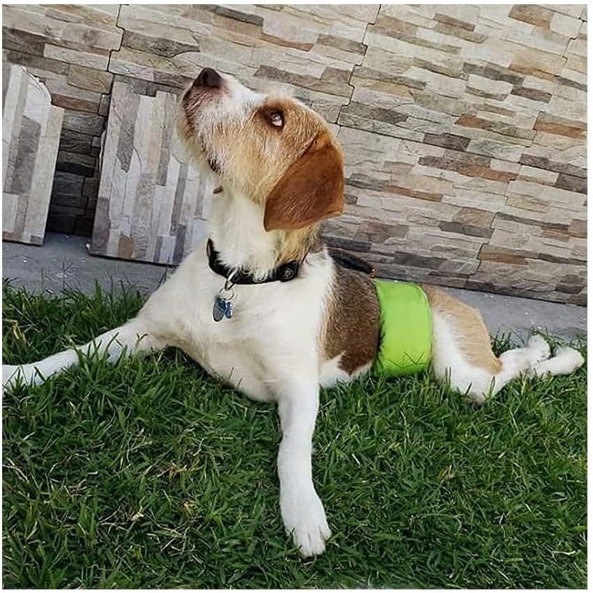 Pañales LAVABLES y REUTILIZABLES - MACHO