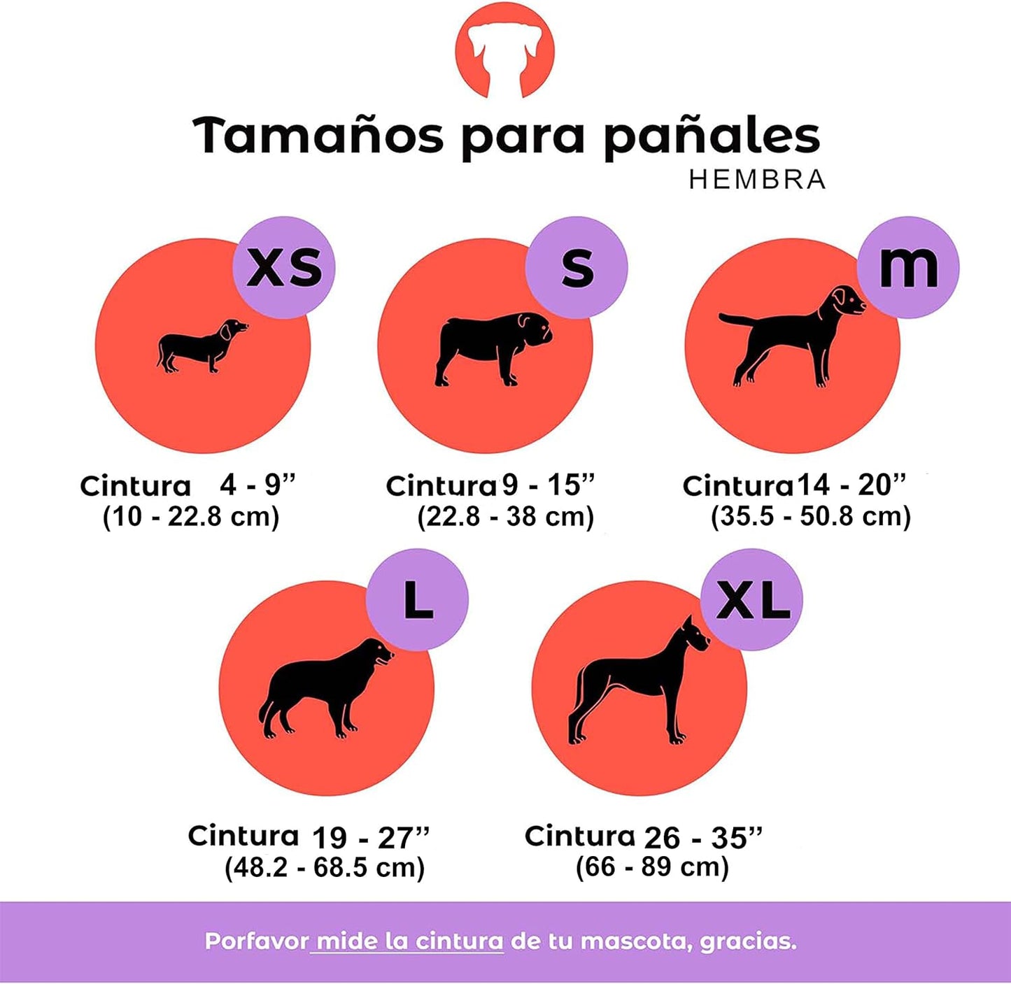 Pañales LAVABLES y REUTILIZABLES - HEMBRA